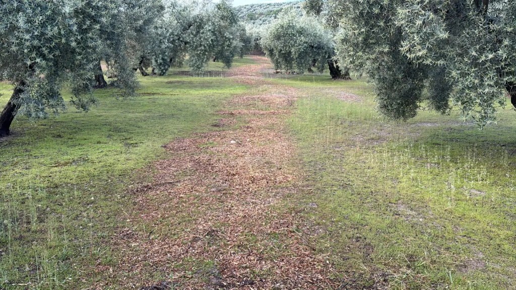 Cultivar para adaptarse al cambio climático, ante las «trabas burocráticas» y la amenaza del&nbsp;«greenwashing»