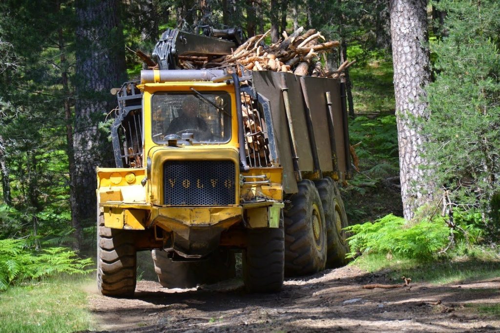España necesita reciclar más&nbsp;madera