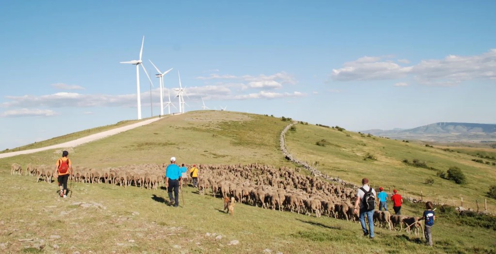 ¿Las nuevas generaciones podrán salvar la&nbsp;trashumancia?