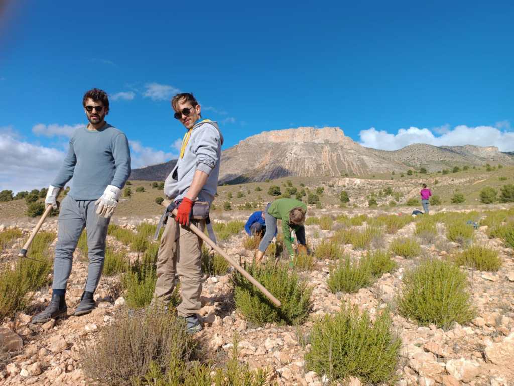 Día Mundial del Suelo: Crear una estrategia de comunicación para extender la regeneración de la&nbsp;vida