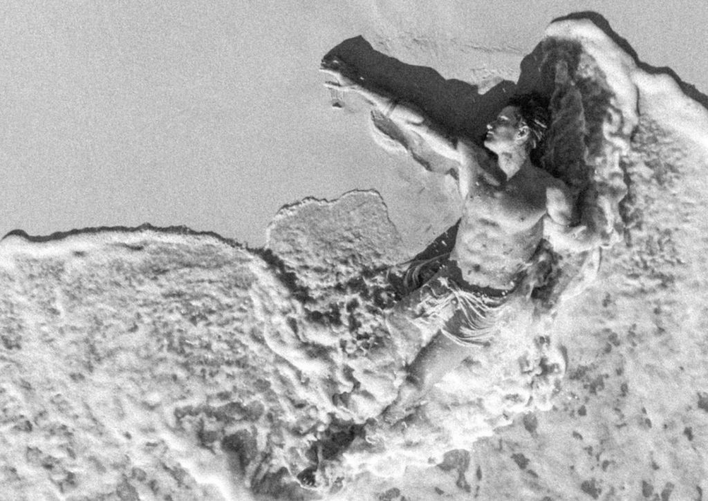 David Bodas: estamos aquí para servir a la naturaleza desde el&nbsp;amor