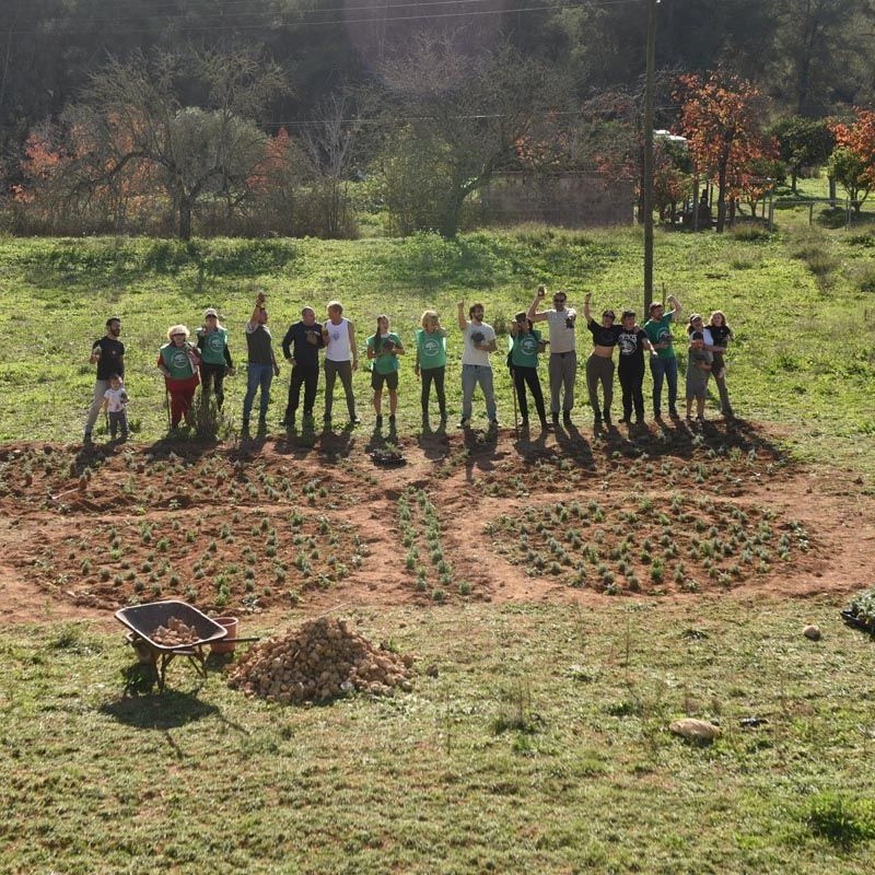 “Regenerando mariposas”, el proyecto de arte paisajístico más grande del mundo en el que puedes&nbsp;participar