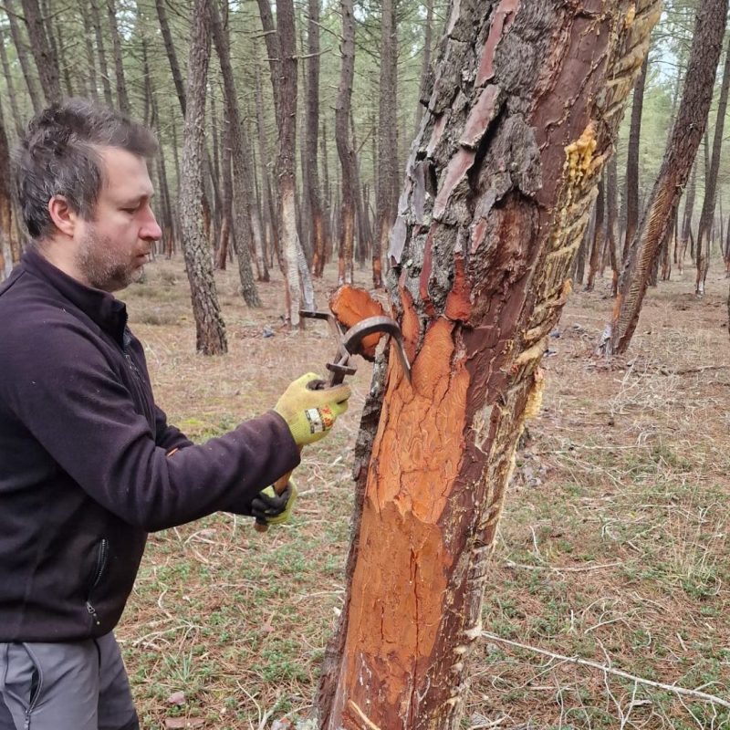 Oficios tradicionales en riesgo de extinción que ayudan a mitigar el cambio&nbsp;climático