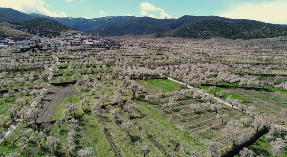 La Asociación AlVelAl está comprometida con la regeneración y restauración de paisajes y ecosistemas.