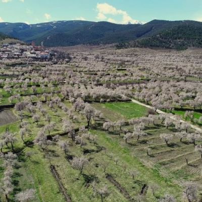 Una iniciativa para promover beneficios fiscales&nbsp;verdes