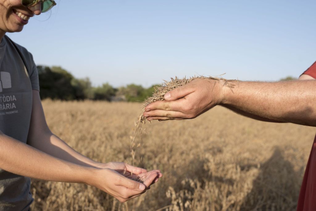 Echa a andar la Red de Territorios Regenerativos en ocho&nbsp;áreas